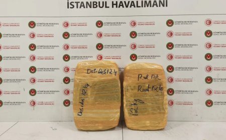 İstanbul Havalimanı'nda uyuşturucu operasyonu. 25 kilogram esrar ele geçirildi