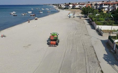 'Tekirdağ sahillerinden 13 bin 860 ton yosun temizlendi'