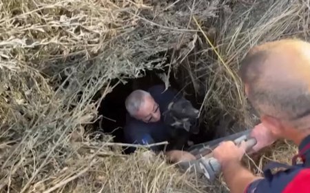 6 metre derinliğindeki kuyuya düştü, tesadüfen fark edildi