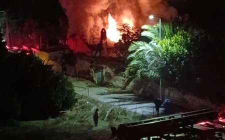 Aydın'da çıkan yangında ev kül oldu, 4 kişilik aile zor kurtuldu