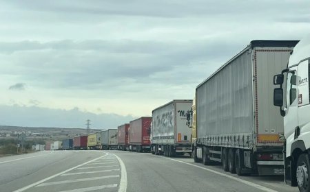 Üç bakanlık, tır sürücülerinin Schengen vizesi sorunu için devrede