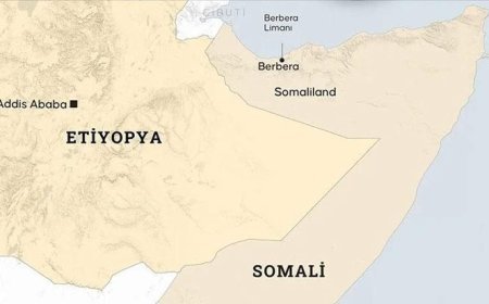 Somali Cumhurbaşkanı Mahmud: İsrail, Kızıldeniz'deki çıkarları için Somaliland'i tanıdı