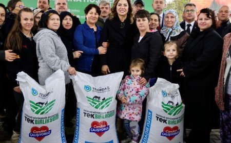 Tekirdağ Büyükşehir Belediyesi, 1965 yetiştiriciye 2 milyon 939 bin 700 kilo yem desteği sağladı