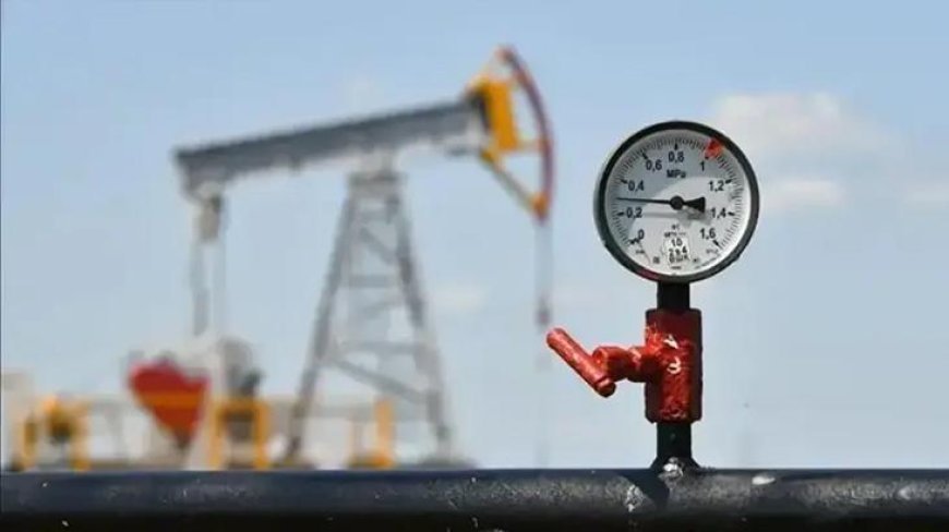 İran Petrol Bakanı Muhsin Paknejad istifa ettiğini duyurdu
