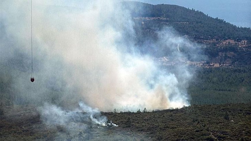 Bodrum'da orman yangını! Havadan karadan müdahale