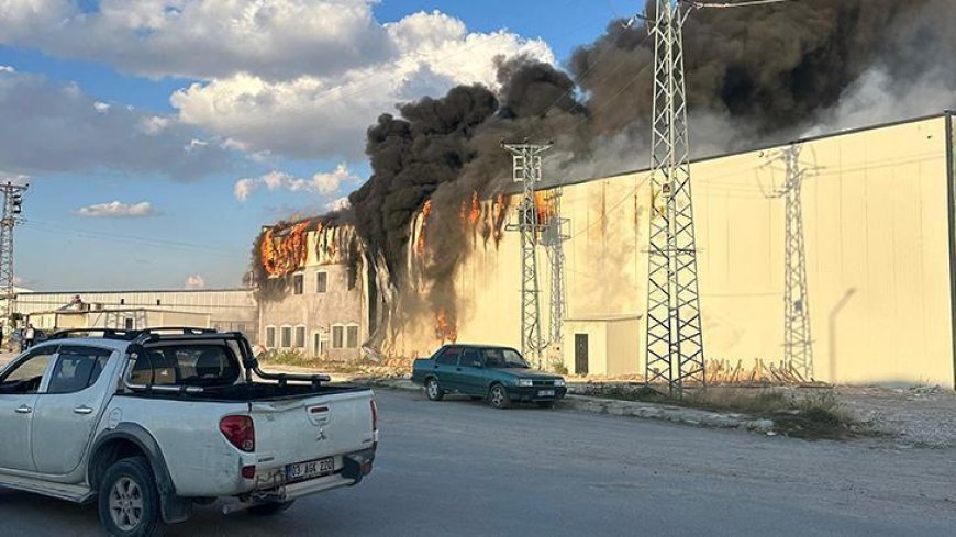 Afyonkarahisar'da korkutan yangın! Mantar tesisinden yükselen dumanlar gökyüzünü kapladı