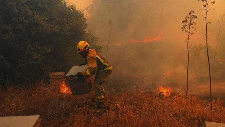 El Niño, kayıtlara geçen en güçlü seviyesine ulaştı!