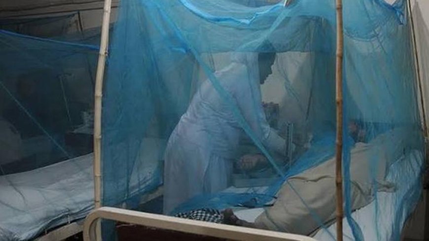 Sivrisinekle bulaşan tehlike! Bangladeş'te dang humması vakası 100 bini geçti