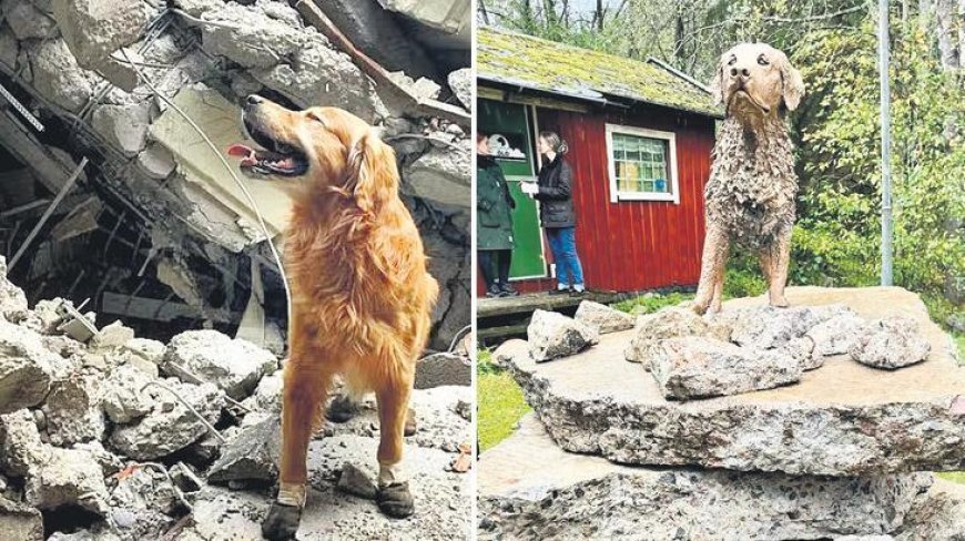 Hatay’da 18 canı kurtarmıştı! İsveç’e heykeli dikildi