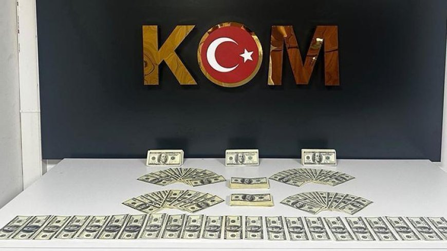 Bodrum'da 46 bin 200 sahte ABD doları ele geçirildi, 1 tutuklama