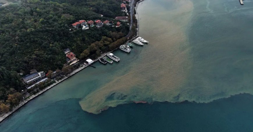 İstanbul'da yağmurun etkisiyle denizin rengi değişti