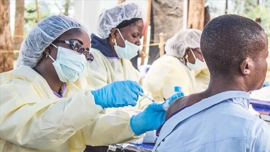 Ebola ülkede iyice yayılıyor: Sekizinci şehirde de görüldü