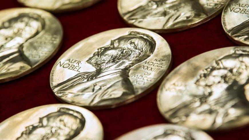 Kadınlar neden bu kadar az kazanıyor? Nobel ödüllerinde cinsiyet eşitsizliği
