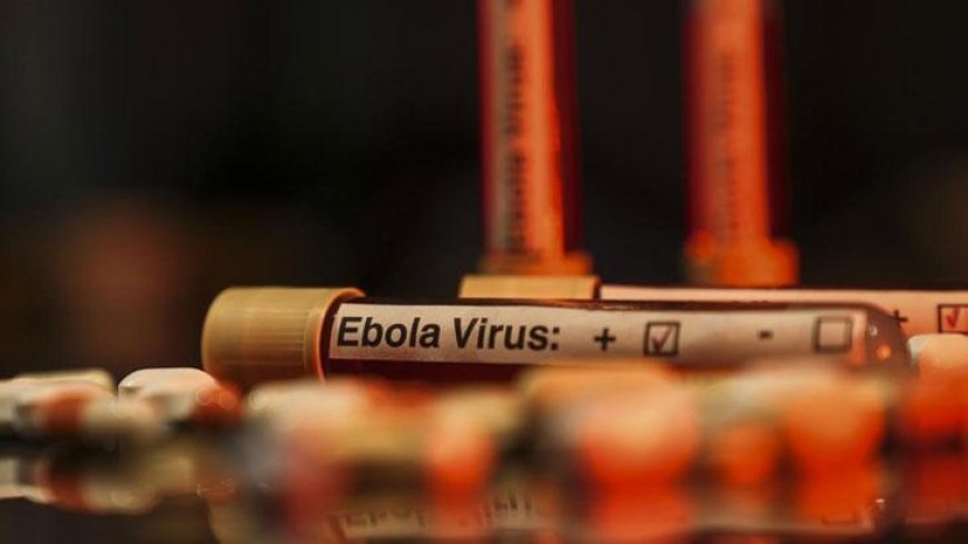Nijerya'da ilk Ebola virüsü vakası tespit edildi
