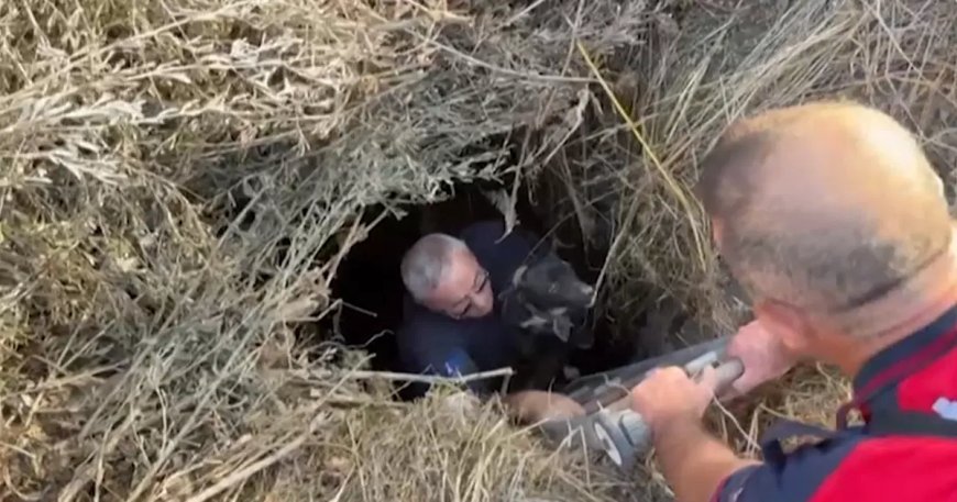 6 metre derinliğindeki kuyuya düştü, tesadüfen fark edildi