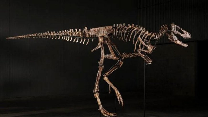 ABD'de dudak uçuklatan satış: Dinozor türüne ait iskelet 47,3 milyon dolara alıcı buldu